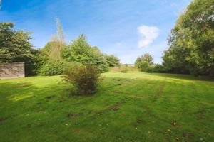 Photo 4- click for photo gallery